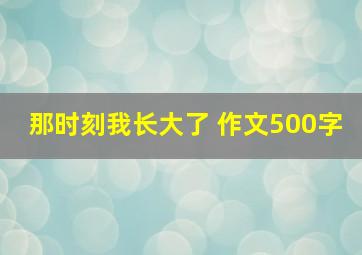 那时刻我长大了 作文500字